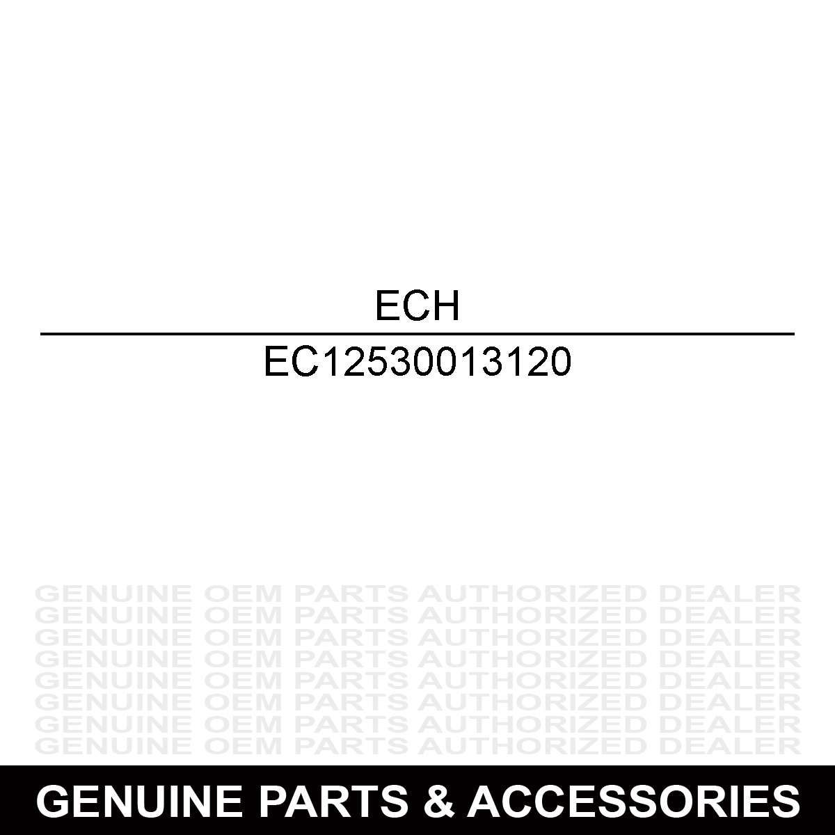 Echo 12530013120 REPAIR KIT, CARBURETOR - RB-71