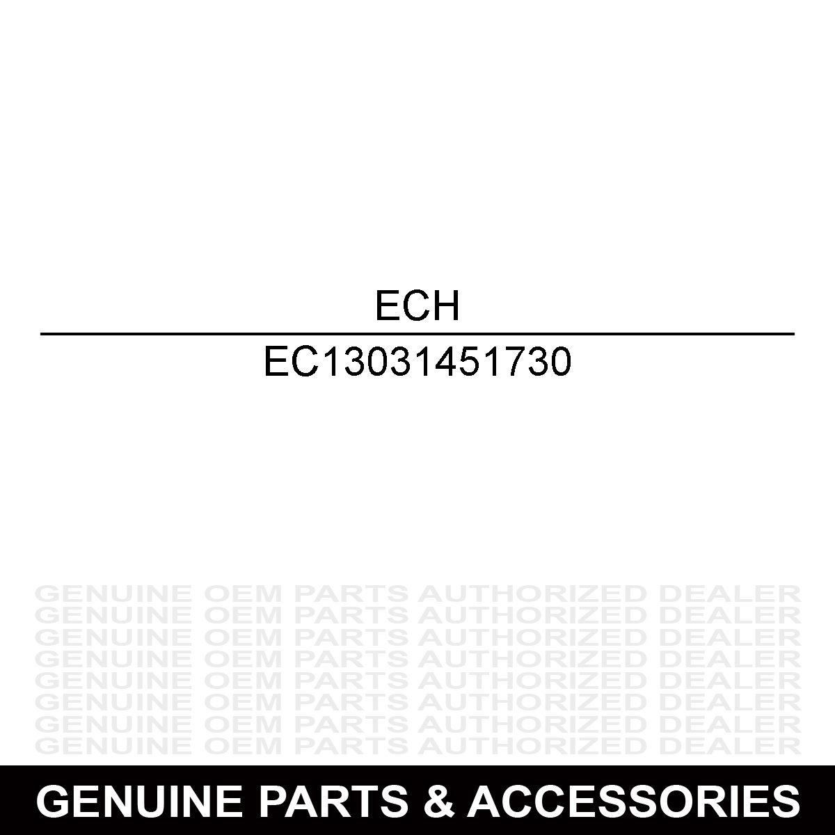 Echo 13031451730 CASE, CLEANER