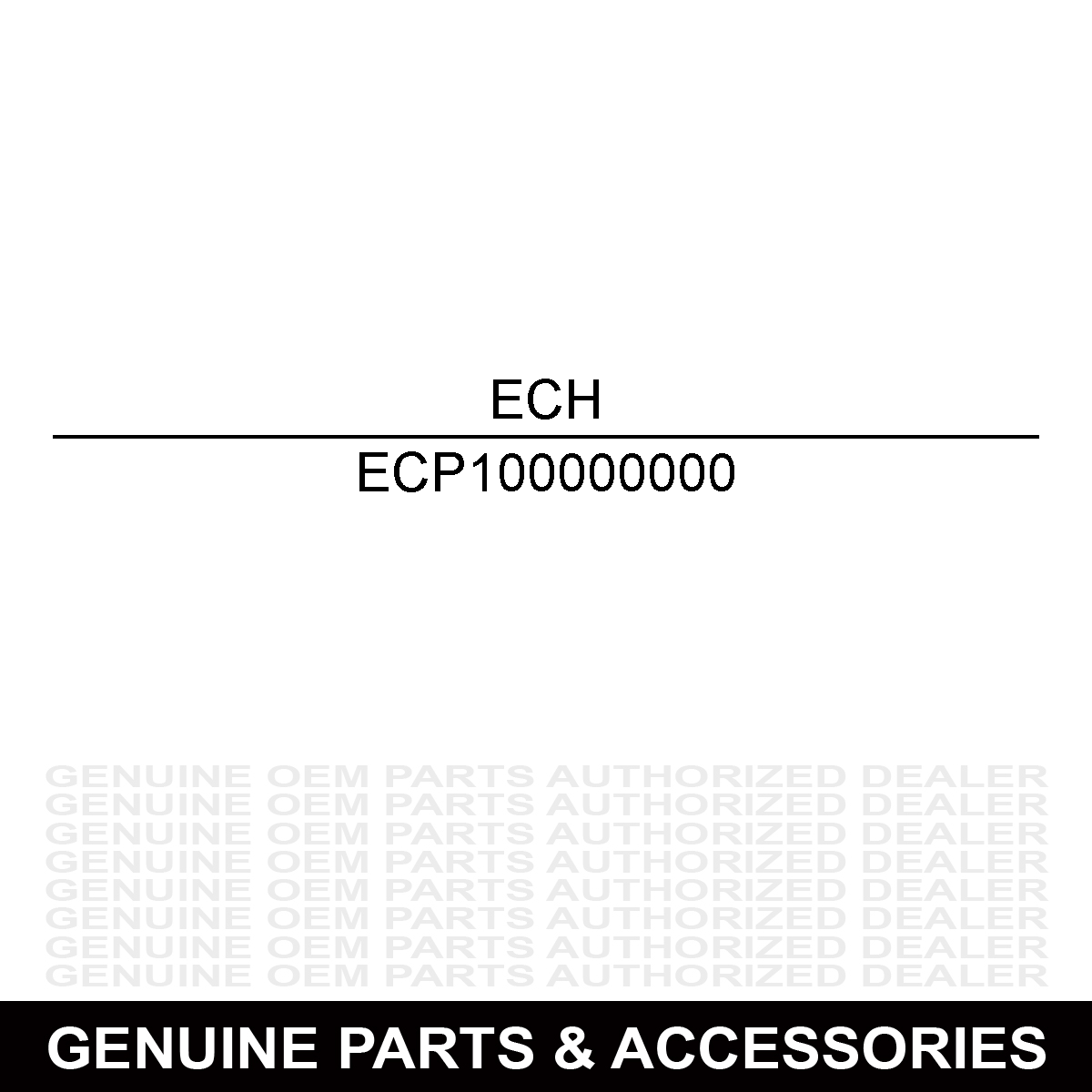 Echo P100000000 GEAR SET