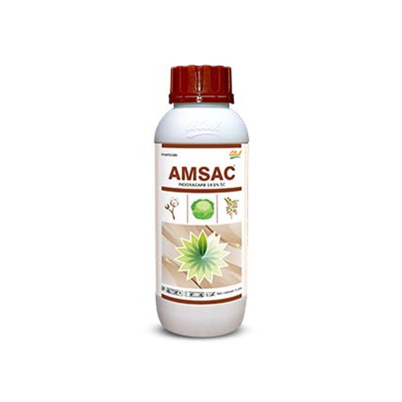 Amsac