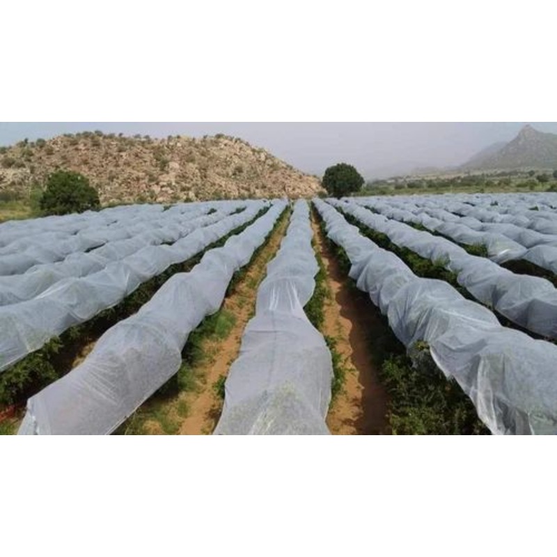 Crop Protection Cover