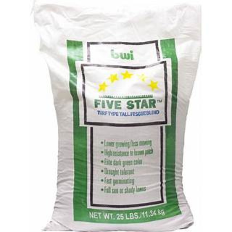 Five Star Fescue Grass Seed