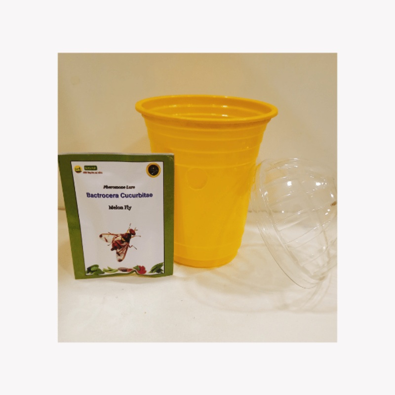 Fruit fly trap Cucurbitae lure