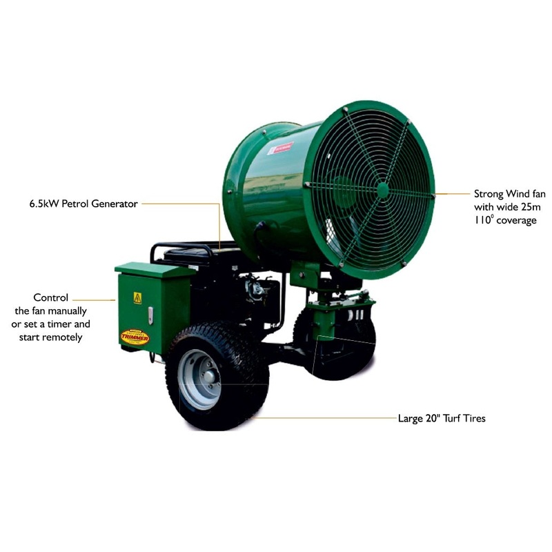 Green Fan