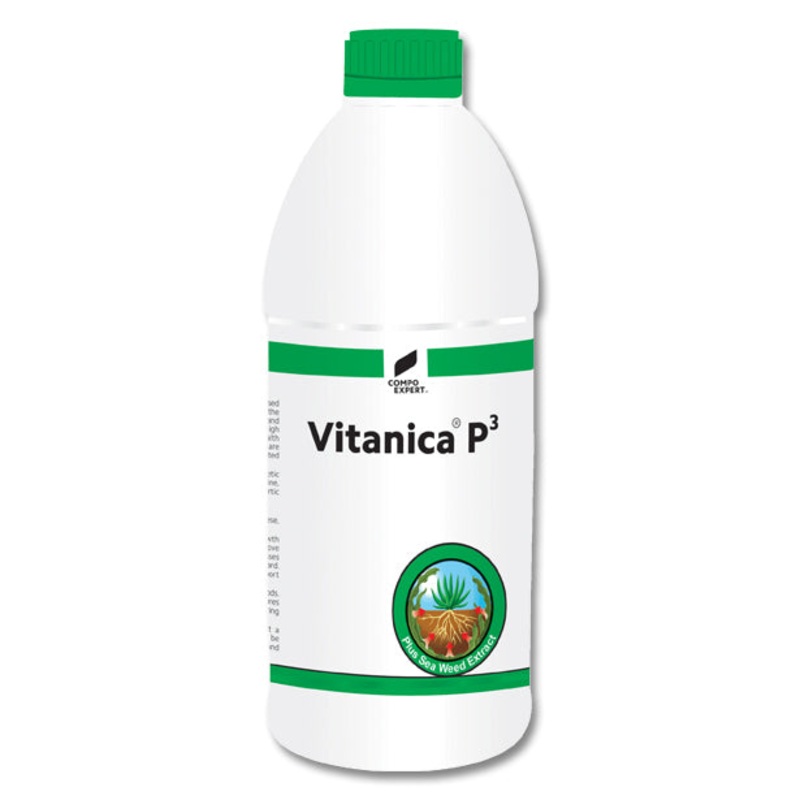 Vitanica P3